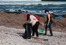 Limpieza de playas | Foto: Prensa I.M.A.