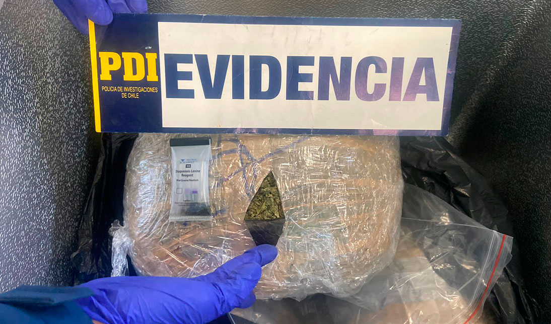Canes de la PDI ayudaron a incautar más de 50 kilos de droga en Calama ...